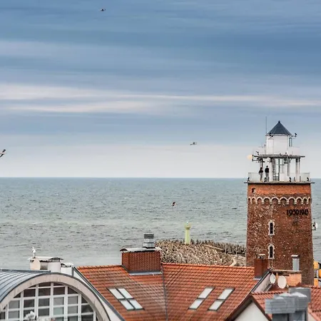 Klif Nadmorskie Tarasy A202 *